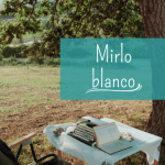 un mirlo blanco
