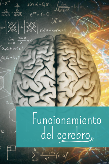 funcionamiento de un cerebro coherente