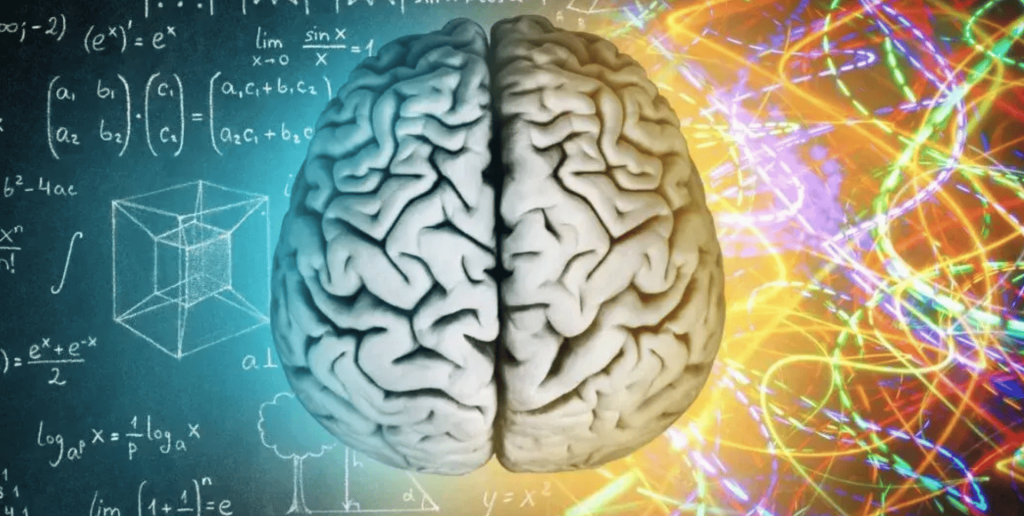 hemisferios del cerebro